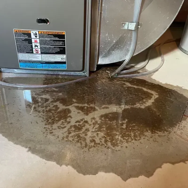 Appliance Leak Cleanup in Metamora, IL